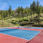 1842 Grey Owl Court For Sale Pickleball Courts