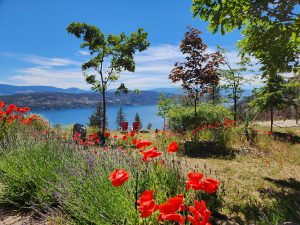Kelowna Real Estate News Markets and Trends July 2024 Lake Views from Westside Rd