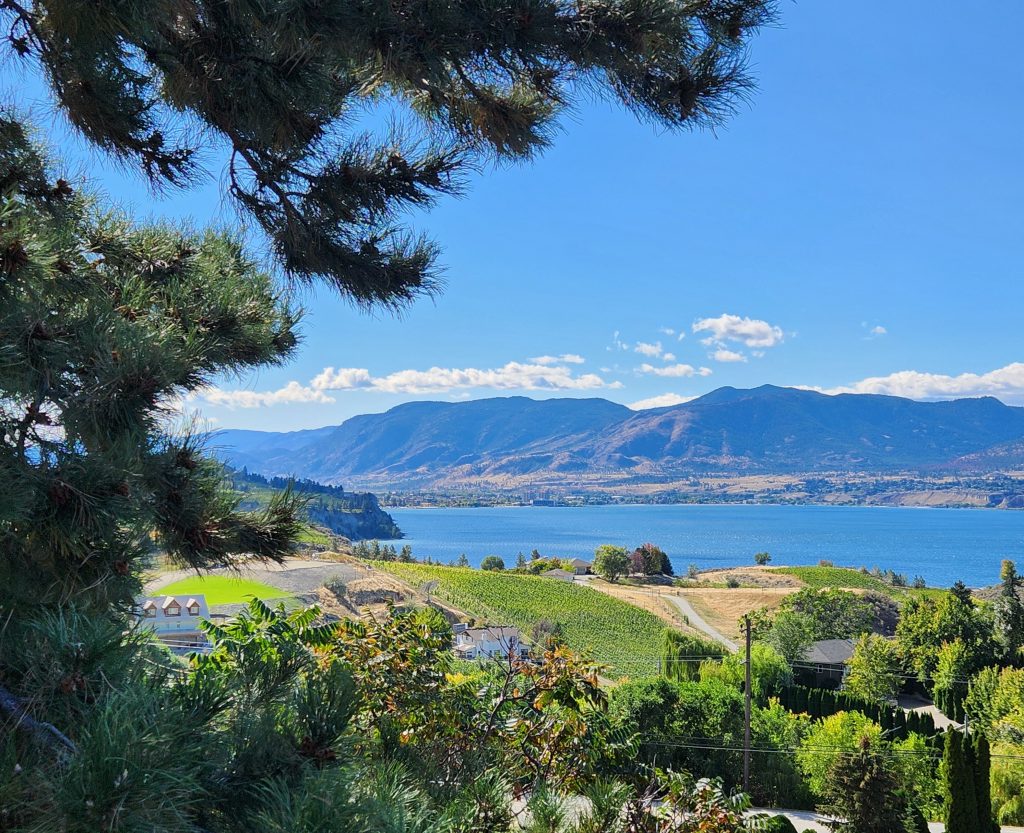 Views from Naramata Bench Kelowna Real Estate Market October 2024