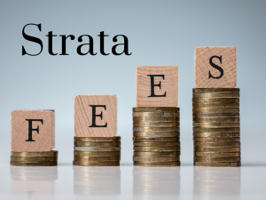 Buying a Strata Property - Fees