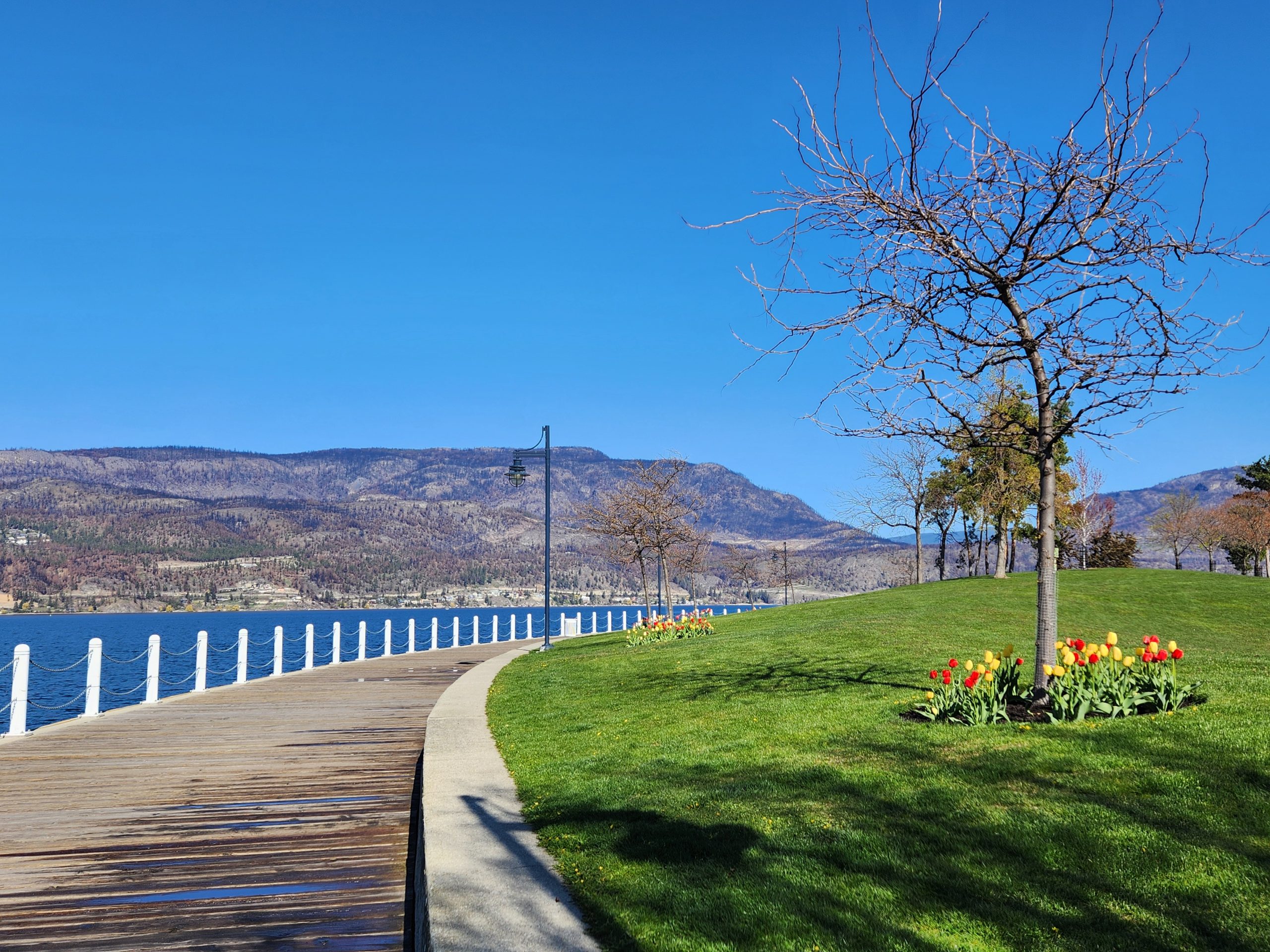 Kelowna Real Estate News Prices and Trends