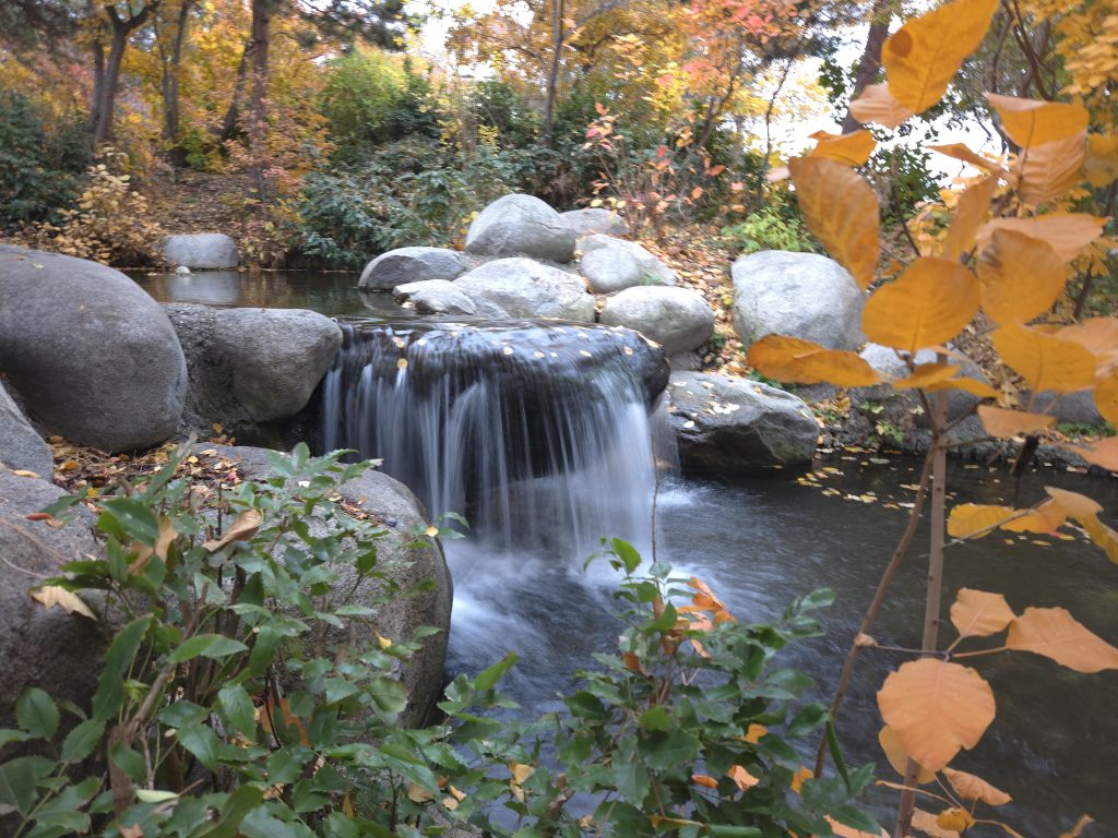 Kelowna Real Estate December 2025 Waterfront Park Pic