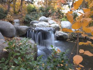 Kelowna Real Estate December 2025 Waterfront Park Pic