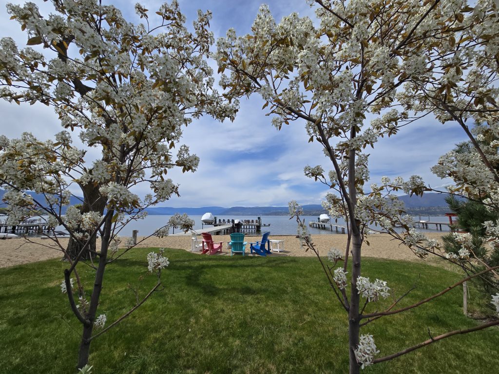 Kelowna Real Estate Market May 2026 Housing Report