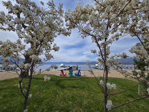 Kelowna Real Estate Market May 2026 Housing Report